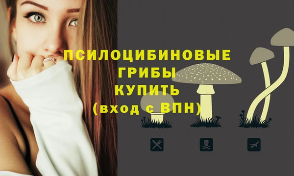 таблы Алзамай